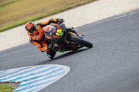 07th-to-9th-January-2019;Phillip-Island;event-digital-images;motorbikes;no-limits;peter-wileman-photography;trackday;trackday-digital-images