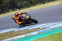 07th-to-9th-January-2019;Phillip-Island;event-digital-images;motorbikes;no-limits;peter-wileman-photography;trackday;trackday-digital-images