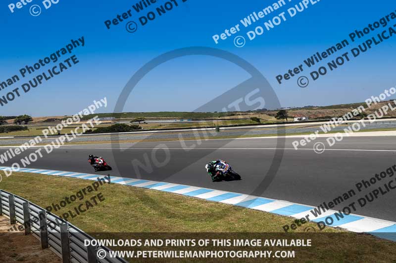 07th to 9th January 2019;Phillip Island;event digital images;motorbikes;no limits;peter wileman photography;trackday;trackday digital images