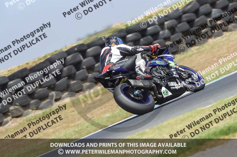 07th to 9th January 2019;Phillip Island;event digital images;motorbikes;no limits;peter wileman photography;trackday;trackday digital images