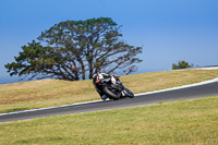 07th-to-9th-January-2019;Phillip-Island;event-digital-images;motorbikes;no-limits;peter-wileman-photography;trackday;trackday-digital-images