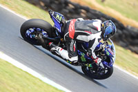 07th-to-9th-January-2019;Phillip-Island;event-digital-images;motorbikes;no-limits;peter-wileman-photography;trackday;trackday-digital-images