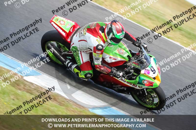 07th to 9th January 2019;Phillip Island;event digital images;motorbikes;no limits;peter wileman photography;trackday;trackday digital images