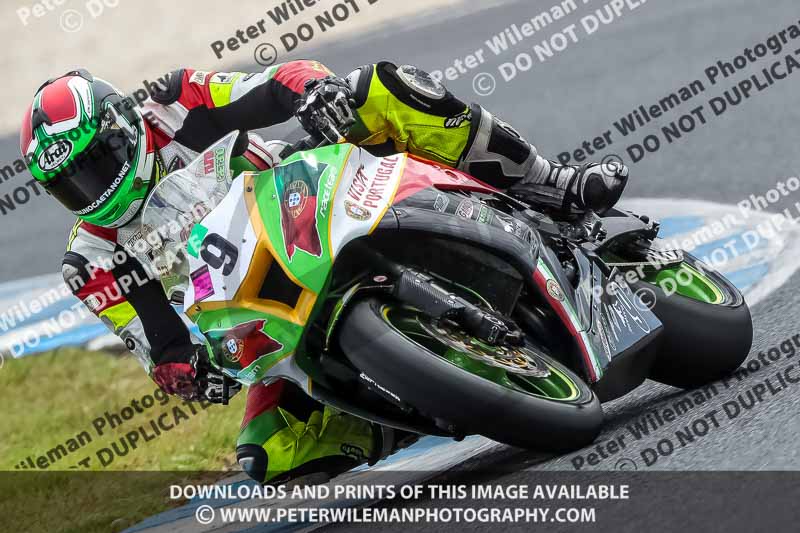 07th to 9th January 2019;Phillip Island;event digital images;motorbikes;no limits;peter wileman photography;trackday;trackday digital images