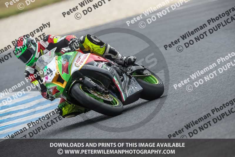 07th to 9th January 2019;Phillip Island;event digital images;motorbikes;no limits;peter wileman photography;trackday;trackday digital images