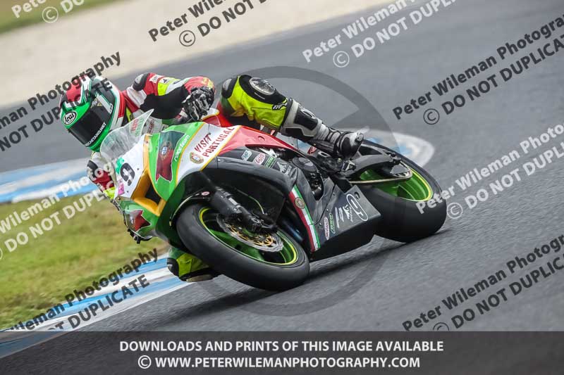 07th to 9th January 2019;Phillip Island;event digital images;motorbikes;no limits;peter wileman photography;trackday;trackday digital images