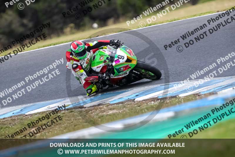 07th to 9th January 2019;Phillip Island;event digital images;motorbikes;no limits;peter wileman photography;trackday;trackday digital images