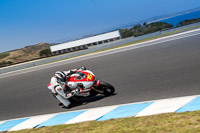 07th-to-9th-January-2019;Phillip-Island;event-digital-images;motorbikes;no-limits;peter-wileman-photography;trackday;trackday-digital-images