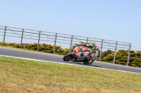 07th-to-9th-January-2019;Phillip-Island;event-digital-images;motorbikes;no-limits;peter-wileman-photography;trackday;trackday-digital-images