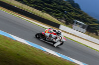 07th-to-9th-January-2019;Phillip-Island;event-digital-images;motorbikes;no-limits;peter-wileman-photography;trackday;trackday-digital-images