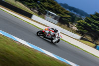 07th-to-9th-January-2019;Phillip-Island;event-digital-images;motorbikes;no-limits;peter-wileman-photography;trackday;trackday-digital-images