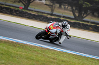 07th-to-9th-January-2019;Phillip-Island;event-digital-images;motorbikes;no-limits;peter-wileman-photography;trackday;trackday-digital-images