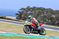 07th-to-9th-January-2019;Phillip-Island;event-digital-images;motorbikes;no-limits;peter-wileman-photography;trackday;trackday-digital-images