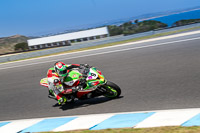 07th-to-9th-January-2019;Phillip-Island;event-digital-images;motorbikes;no-limits;peter-wileman-photography;trackday;trackday-digital-images