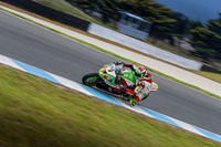 07th-to-9th-January-2019;Phillip-Island;event-digital-images;motorbikes;no-limits;peter-wileman-photography;trackday;trackday-digital-images