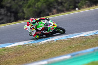 07th-to-9th-January-2019;Phillip-Island;event-digital-images;motorbikes;no-limits;peter-wileman-photography;trackday;trackday-digital-images