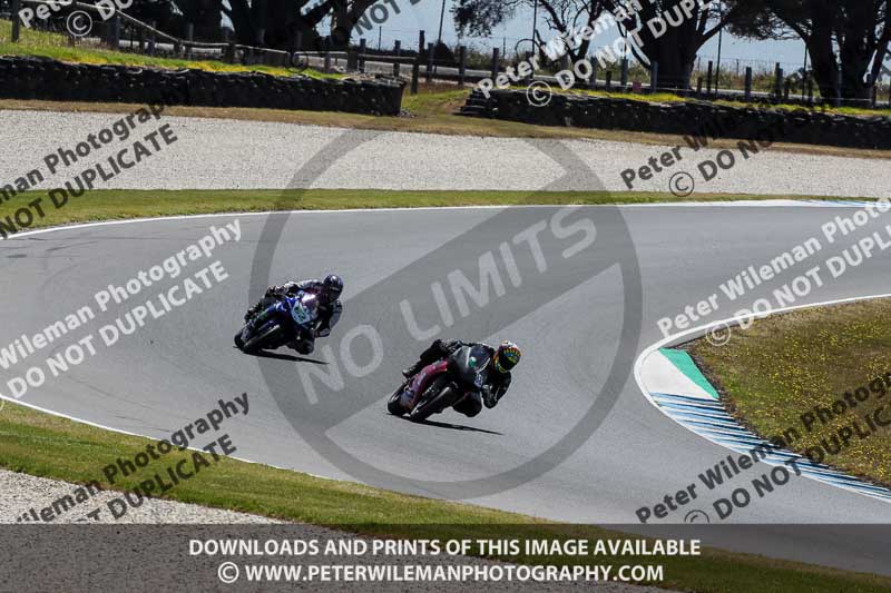 07th to 9th January 2019;Phillip Island;event digital images;motorbikes;no limits;peter wileman photography;trackday;trackday digital images