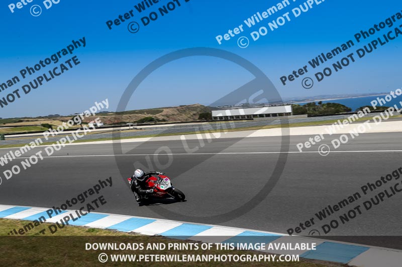 07th to 9th January 2019;Phillip Island;event digital images;motorbikes;no limits;peter wileman photography;trackday;trackday digital images