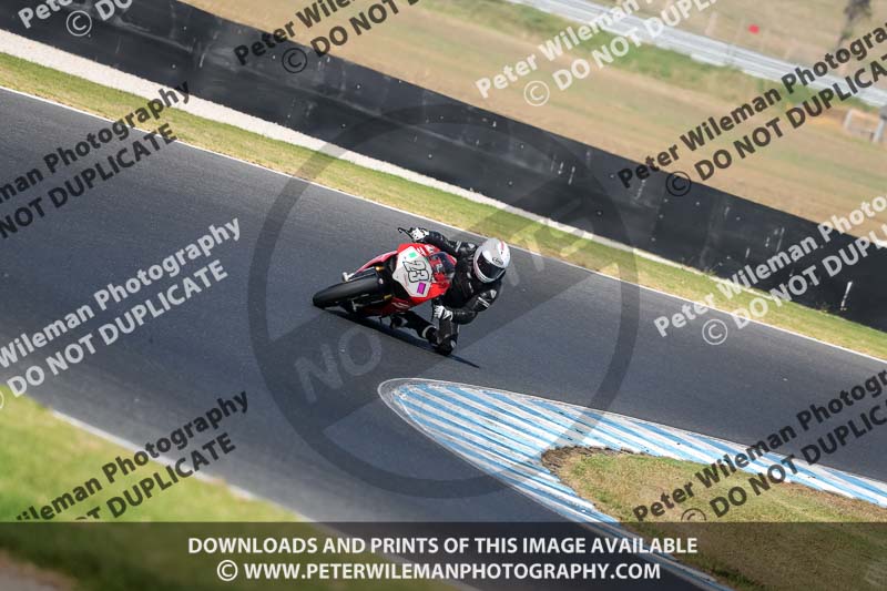 07th to 9th January 2019;Phillip Island;event digital images;motorbikes;no limits;peter wileman photography;trackday;trackday digital images