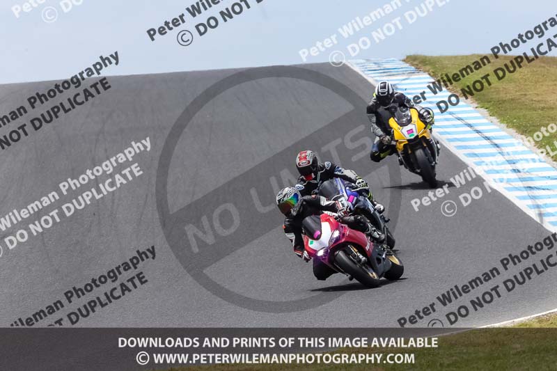 07th to 9th January 2019;Phillip Island;event digital images;motorbikes;no limits;peter wileman photography;trackday;trackday digital images