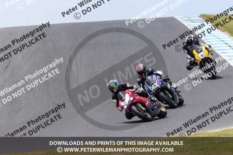 07th to 9th January 2019;Phillip Island;event digital images;motorbikes;no limits;peter wileman photography;trackday;trackday digital images