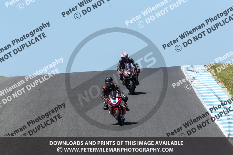 07th to 9th January 2019;Phillip Island;event digital images;motorbikes;no limits;peter wileman photography;trackday;trackday digital images