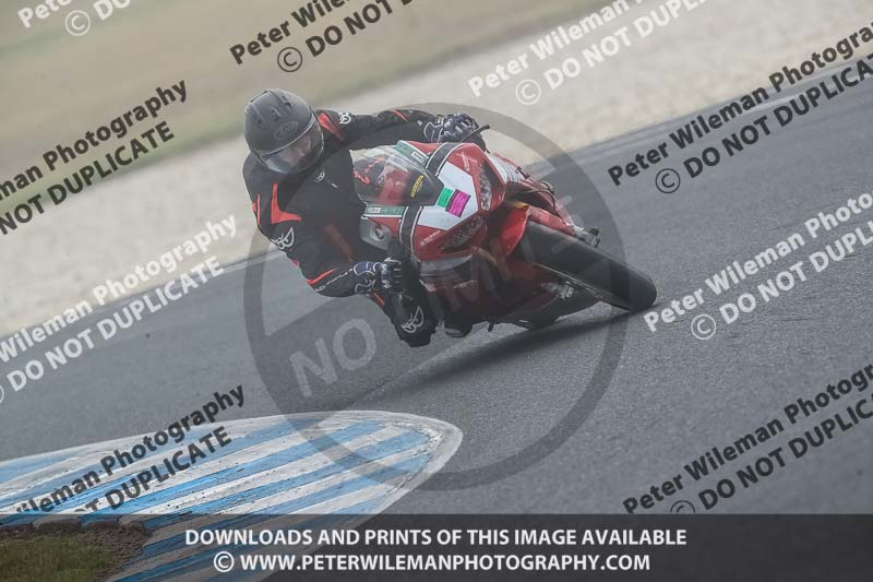 07th to 9th January 2019;Phillip Island;event digital images;motorbikes;no limits;peter wileman photography;trackday;trackday digital images