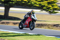 07th-to-9th-January-2019;Phillip-Island;event-digital-images;motorbikes;no-limits;peter-wileman-photography;trackday;trackday-digital-images