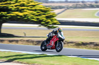 07th-to-9th-January-2019;Phillip-Island;event-digital-images;motorbikes;no-limits;peter-wileman-photography;trackday;trackday-digital-images