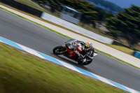 07th-to-9th-January-2019;Phillip-Island;event-digital-images;motorbikes;no-limits;peter-wileman-photography;trackday;trackday-digital-images