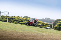 07th-to-9th-January-2019;Phillip-Island;event-digital-images;motorbikes;no-limits;peter-wileman-photography;trackday;trackday-digital-images