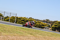 07th-to-9th-January-2019;Phillip-Island;event-digital-images;motorbikes;no-limits;peter-wileman-photography;trackday;trackday-digital-images