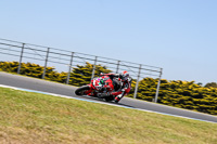 07th-to-9th-January-2019;Phillip-Island;event-digital-images;motorbikes;no-limits;peter-wileman-photography;trackday;trackday-digital-images