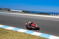 07th-to-9th-January-2019;Phillip-Island;event-digital-images;motorbikes;no-limits;peter-wileman-photography;trackday;trackday-digital-images