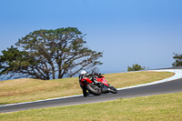 07th-to-9th-January-2019;Phillip-Island;event-digital-images;motorbikes;no-limits;peter-wileman-photography;trackday;trackday-digital-images