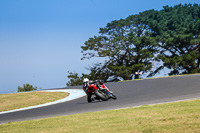 07th-to-9th-January-2019;Phillip-Island;event-digital-images;motorbikes;no-limits;peter-wileman-photography;trackday;trackday-digital-images