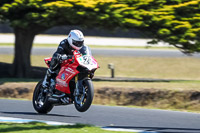 07th-to-9th-January-2019;Phillip-Island;event-digital-images;motorbikes;no-limits;peter-wileman-photography;trackday;trackday-digital-images