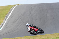 07th-to-9th-January-2019;Phillip-Island;event-digital-images;motorbikes;no-limits;peter-wileman-photography;trackday;trackday-digital-images