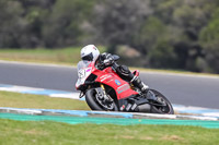 07th-to-9th-January-2019;Phillip-Island;event-digital-images;motorbikes;no-limits;peter-wileman-photography;trackday;trackday-digital-images