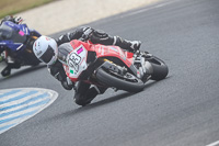 07th-to-9th-January-2019;Phillip-Island;event-digital-images;motorbikes;no-limits;peter-wileman-photography;trackday;trackday-digital-images