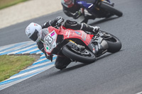 07th-to-9th-January-2019;Phillip-Island;event-digital-images;motorbikes;no-limits;peter-wileman-photography;trackday;trackday-digital-images