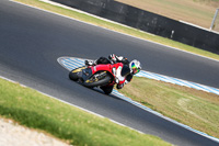 07th-to-9th-January-2019;Phillip-Island;event-digital-images;motorbikes;no-limits;peter-wileman-photography;trackday;trackday-digital-images