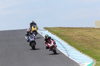 07th-to-9th-January-2019;Phillip-Island;event-digital-images;motorbikes;no-limits;peter-wileman-photography;trackday;trackday-digital-images