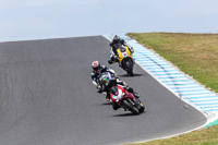 07th-to-9th-January-2019;Phillip-Island;event-digital-images;motorbikes;no-limits;peter-wileman-photography;trackday;trackday-digital-images