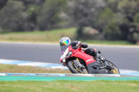 07th-to-9th-January-2019;Phillip-Island;event-digital-images;motorbikes;no-limits;peter-wileman-photography;trackday;trackday-digital-images