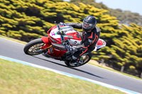 07th-to-9th-January-2019;Phillip-Island;event-digital-images;motorbikes;no-limits;peter-wileman-photography;trackday;trackday-digital-images