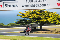 07th-to-9th-January-2019;Phillip-Island;event-digital-images;motorbikes;no-limits;peter-wileman-photography;trackday;trackday-digital-images