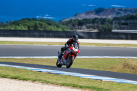 07th-to-9th-January-2019;Phillip-Island;event-digital-images;motorbikes;no-limits;peter-wileman-photography;trackday;trackday-digital-images