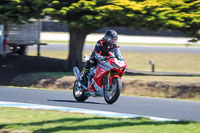 07th-to-9th-January-2019;Phillip-Island;event-digital-images;motorbikes;no-limits;peter-wileman-photography;trackday;trackday-digital-images