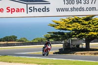 07th-to-9th-January-2019;Phillip-Island;event-digital-images;motorbikes;no-limits;peter-wileman-photography;trackday;trackday-digital-images